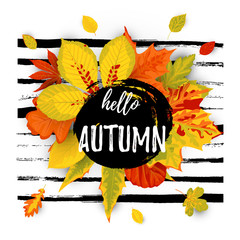 Hello Autumn flyer template. Bright fall leaves with bright autumn leaves and hand drawn paint background. Poster, card, label, banner design. Vector illustration.