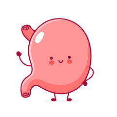 Cute happy funny stomach organ