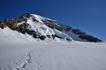 Fototapeta na wymiar Der Mönch in den Berner Alpen gesehen vom Jungfrau Joch 