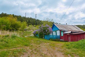 An old lonely house on the edge of a forest on a hill, with a blue fence and a lilac Bush