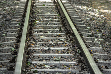 Railroad in the forest. Parallel lines. Perspective on the example of railway rails. Move forward. Travel by train. Rails and sleepers. Land mode of transport. High-speed train. Railway communication.