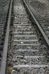 Railroad in the forest. Parallel lines. Perspective on the example of railway rails. Move forward. Travel by train. Rails and sleepers. Land mode of transport. High-speed train. Railway communication.