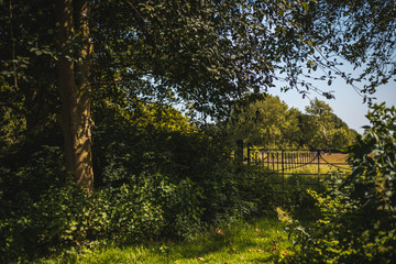 Green summer English countryside with trees and gate