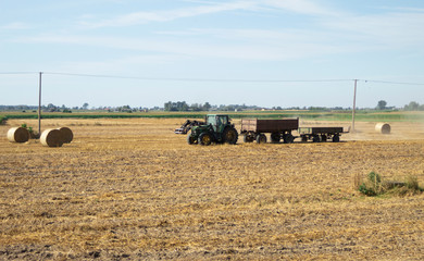 Obraz premium The farmer collects bales of straw