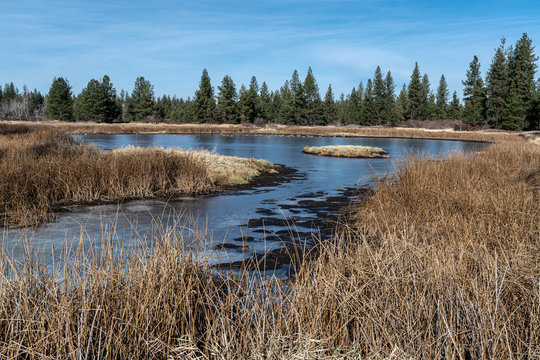 Turnbull, National Wildlife Refuge, WA