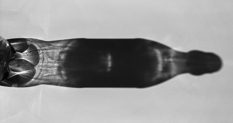 Caustics formed by the refraction of the sun 