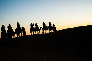 Fototapeta na wymiar silhouette di persone a dorso di cammello all'alba, nel deserto marocchino di merzouga