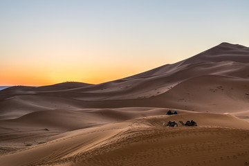 Fototapeta na wymiar panorama dell'alba nel deserto marocchino di merzouga, con cammelli sdraiati