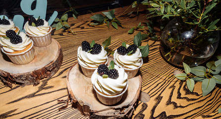 delicious fresh homemade organic muffins decorated with blackberries and cream. Delicious sweets for a holiday,