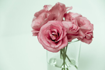 Pink eustoma flowers in a glass vase