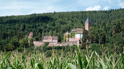 Fototapeta na wymiar Schloss Zwingenberg am Neckar