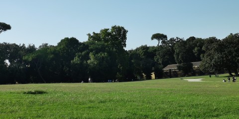 Bosco Capodimonte