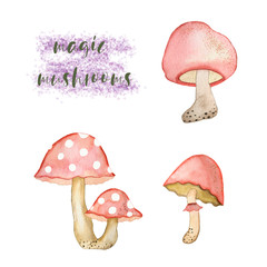 This watercolor illustration of a set of pink magic mushrooms is hand drawn with watercolors and is suitable for all kinds of designs.