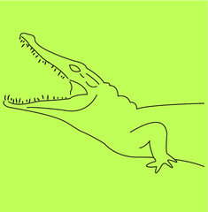 Crocodile head silhouette