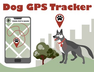 Gps control tracker for walking dog. Pet tracking application. Smartphone with city map and navigation pins show pet movement. Tracking app.