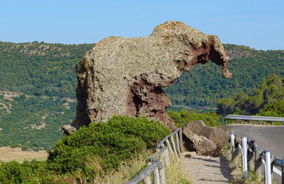 Close up Elephant Rock Roccia dell`Elefante just outside Castelsardo, Sardinia, Italy.