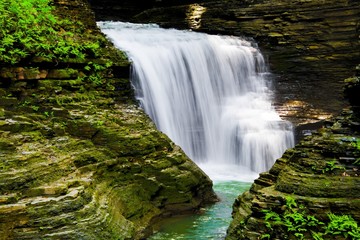 waterfall in the forest