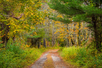 Fototapeta na wymiar Autumn Falls on New England by Constantine