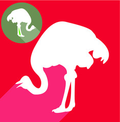 Ostrich silhouette