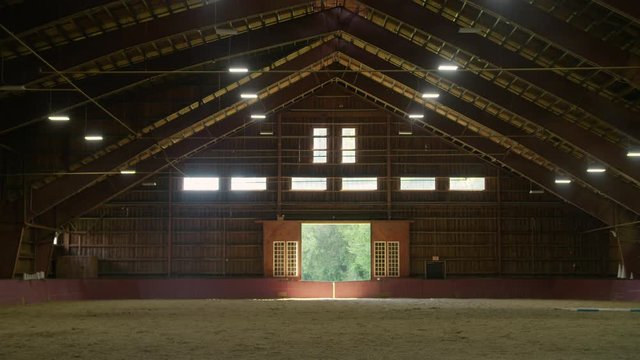Majestic black horse runs through large equestrian riding hall / indoor ring