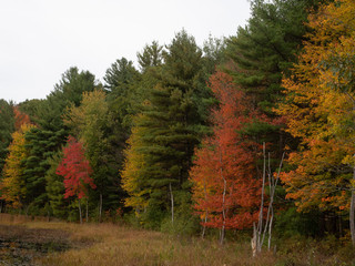 Autumn in New England by Constantine