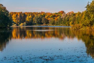 5734  Herbst am Waldsee