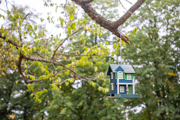 Decorative bird house on tree in summer park