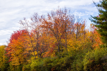Autumn Falls on New England by Constantine
