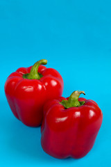 close-up of two large juicy red peppers on a blue background side view . red vegetables
