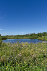 Pylypow on a Sunny Day