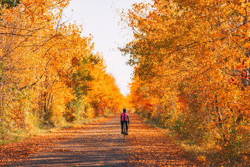 Bike cyclist biking in fall forest with beautiful scenery of red foliage autumn leaves. Cycling on...