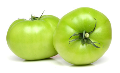 Studio shot of green tomato