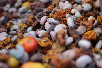 Castanha e caju seco no nordeste do Brasil - Piauí