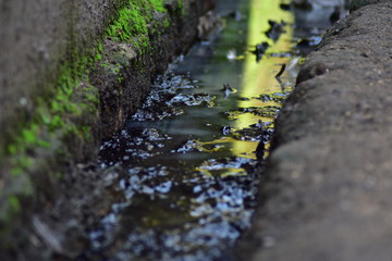 Ditches or sewers by the side of the road to drain water 
dirty and smelly