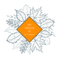 Thanksgiving day top view vector illustration. Autumn label hand drawn. Autumn leaves and pumpkin sketch. Engraved image.