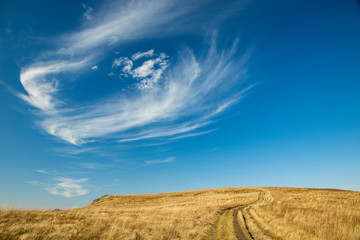 Fototapeta na wymiar autumn highland meadow field harvest season scenic view background landscape picture with vivid blue sky