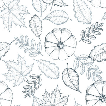 Autumn seamless pattern. Hand drawn vector illustration. Leaves and pumpkins hand drawn sketch. Autumn pattern sketch style. Engraved image.