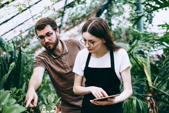 Young woman gardener in glasses and apron with digital tablet working in a garden center for better quality control with a colleague. Environmentalists using digital tablet in greenhouse.
