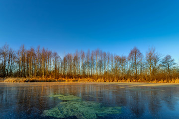 Naklejka na ściany i meble Cold sunny morning. Frozen lake on an autumn day.