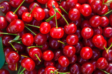 garden cherry berries, food background