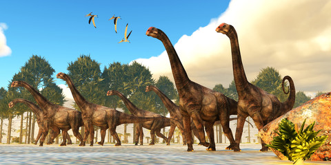 Brontomerus Herd - A flock of Pteranodon reptiles fly over a herd of Brontomerus dinosaurs during the Cretaceous Period.
