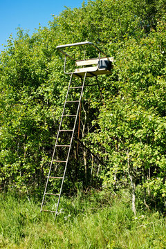 Hunting lookout hochsitz with a large ladder