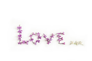 Word LOVE lined with petals of lilac isolated on the white background.