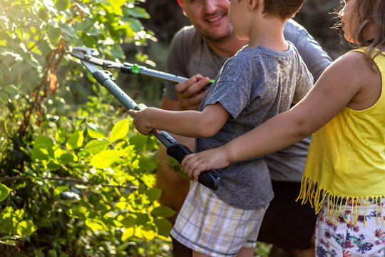 Young Kids Help Out Their Father In The Garden,cutting Leaves Together.Adorable Siblings Helping Their Dad Gardening.A Young Single Father Teaching Son And Daughter How To Prune A Bush In The Backyard