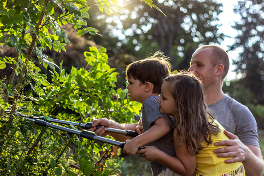 Father with beautiful kids pruning tree with big clippers in the garden.Family working in the garden with scissors to cut the branches.Little boy and girl with their happy father taking care of garden