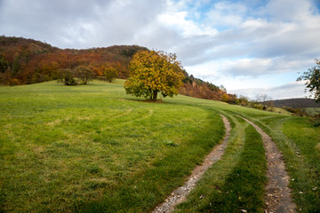 Sonnenuntergang über Jena