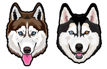 Husky dog portrait vector illustration © satoriartworkco