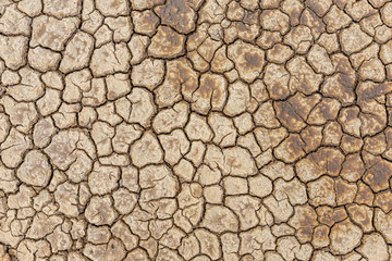 Brown dry soil or desert cracked ground texture background,land arid earth warming.