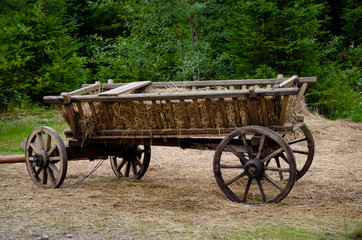 Fototapeta na wymiar An old wooden cart with four wheels on straw against the background of a green forest.
