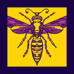 Hand-drawn decorative bees on a dark blue , yellow?violett backgrounds. Botanical design. Perfect for postcards, banners, business cards, invitations. EPS 10